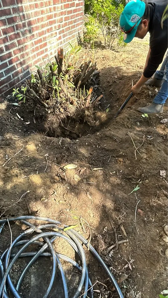 Expert outdoor landscaping for homes across Bellevue, WA - Wilder Landscaping