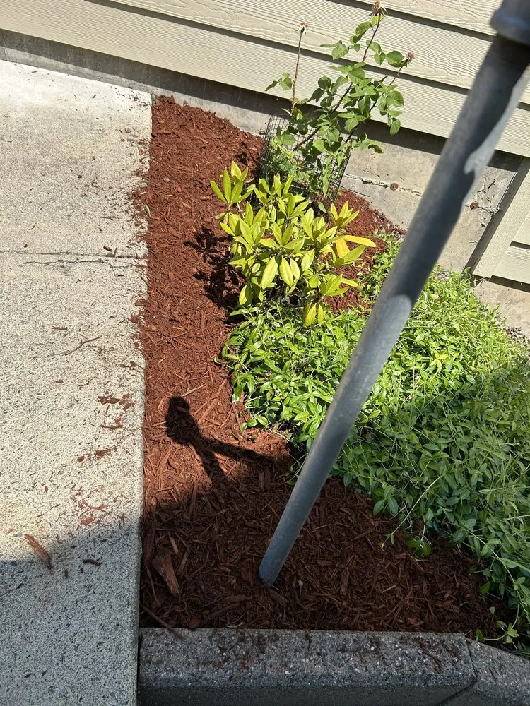 Professional yard maintenance for outdoor upgrades across Bellevue, WA - Wilder Landscaping