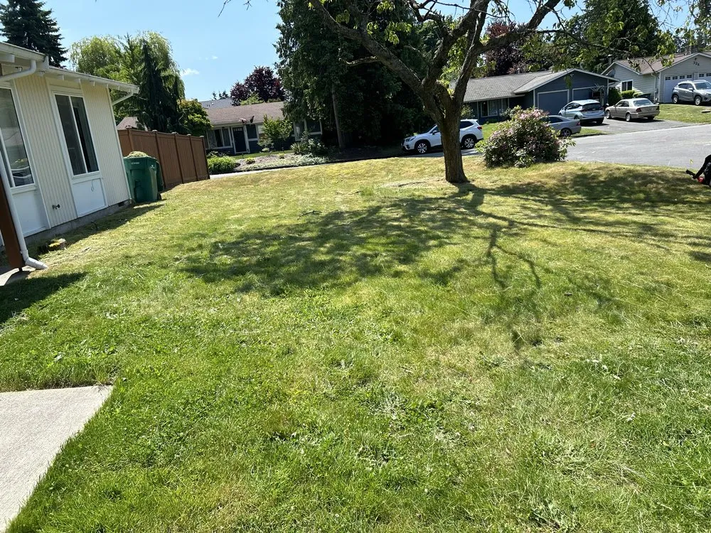 Affordable lawn care service experts serving Bellevue, WA - Wilder Landscaping