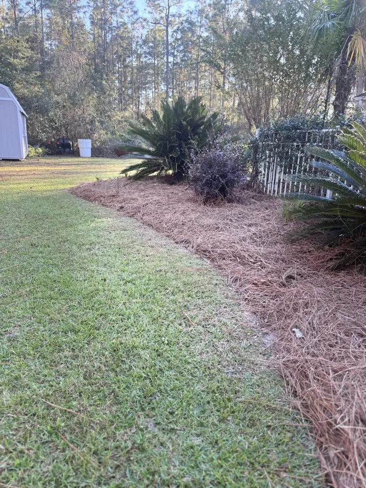 Reliable landscape installation experts serving Jesup, GA - Wilder Roots