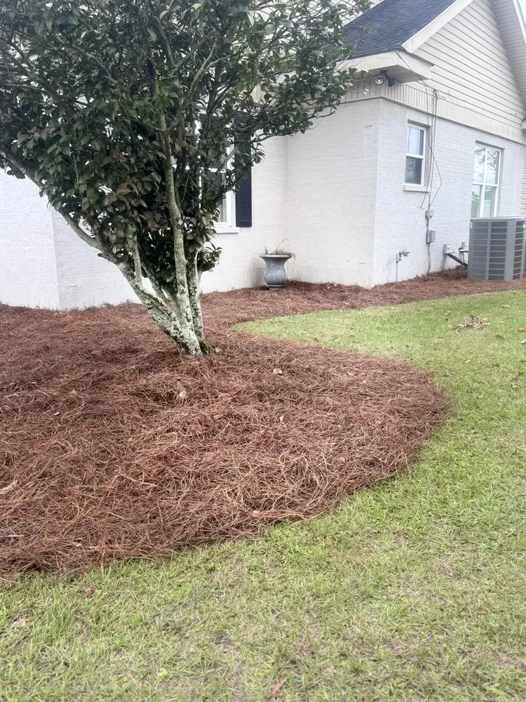Reliable yard cleanup service in Jesup, GA - Wilder Roots