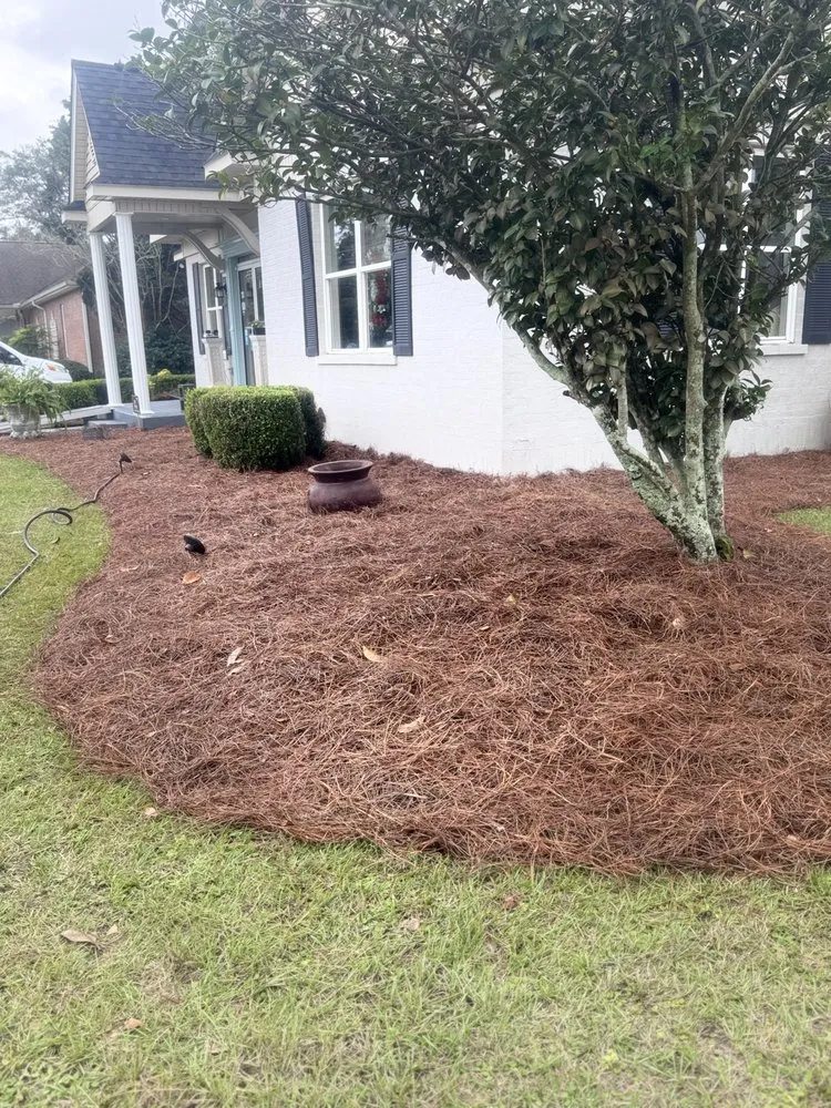Local outdoor landscaping in Jesup, GA by Wilder Roots