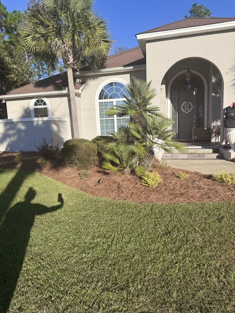 Top-rated landscape design experts serving Jesup, GA - Wilder Roots