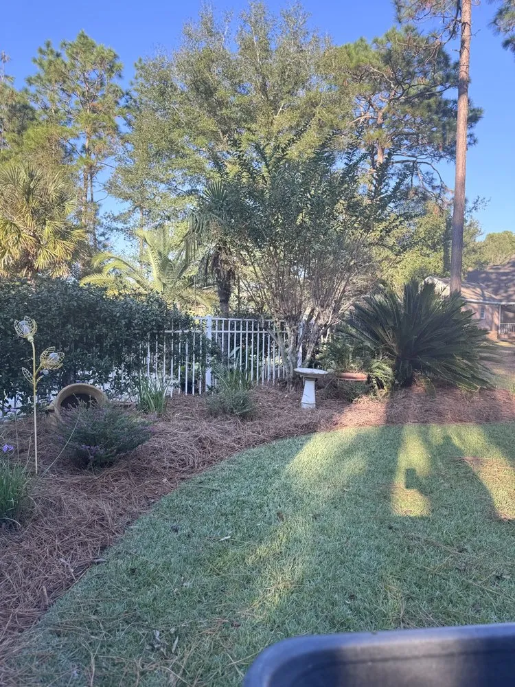 Professional yard maintenance for year-round maintenance in Jesup, GA by Wilder Roots