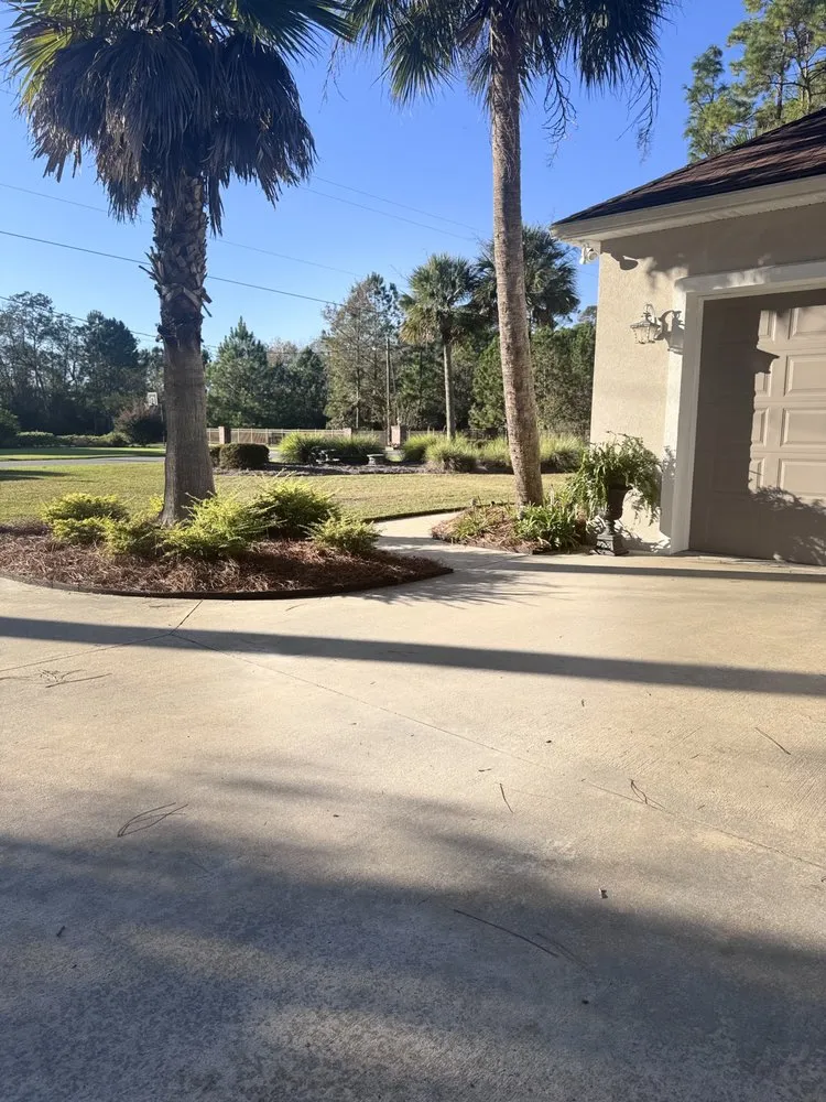 Affordable landscape design for year-round maintenance across Jesup, GA - Wilder Roots