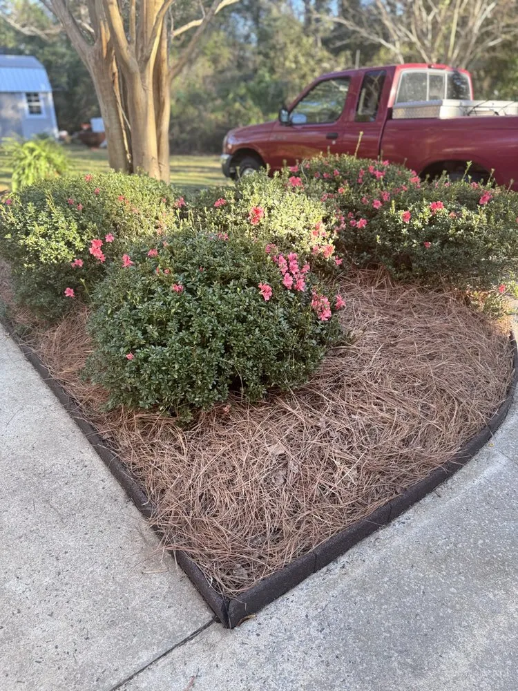 Trusted residential landscaping in Jesup, GA - Wilder Roots