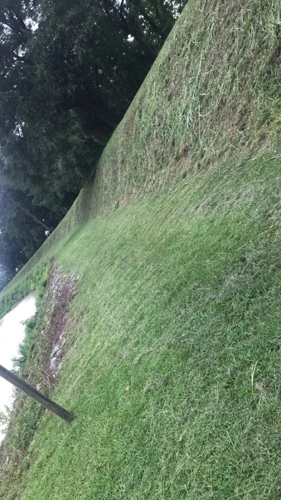 Affordable landscaping services for beautiful yards in Columbia, SC by Wilder Scapes