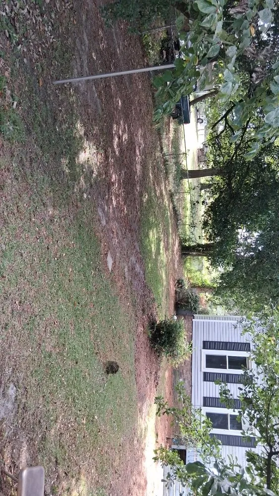 Professional lawn care service experts serving Columbia, SC - Wilder Scapes