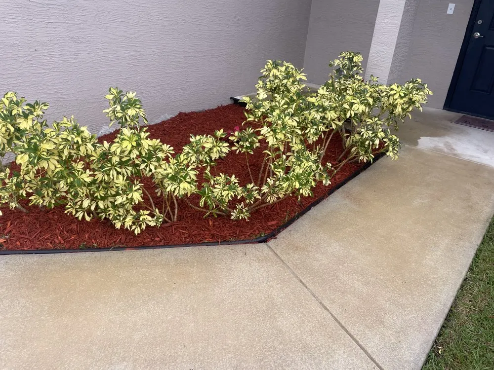 Custom lawn mowing service in Okeechobee, FL - Wilder’s Lawn service