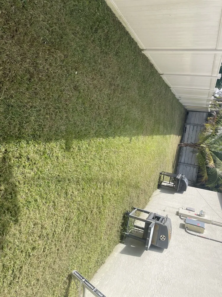 Affordable yard cleanup service in Okeechobee, FL - Wilder’s Lawn service