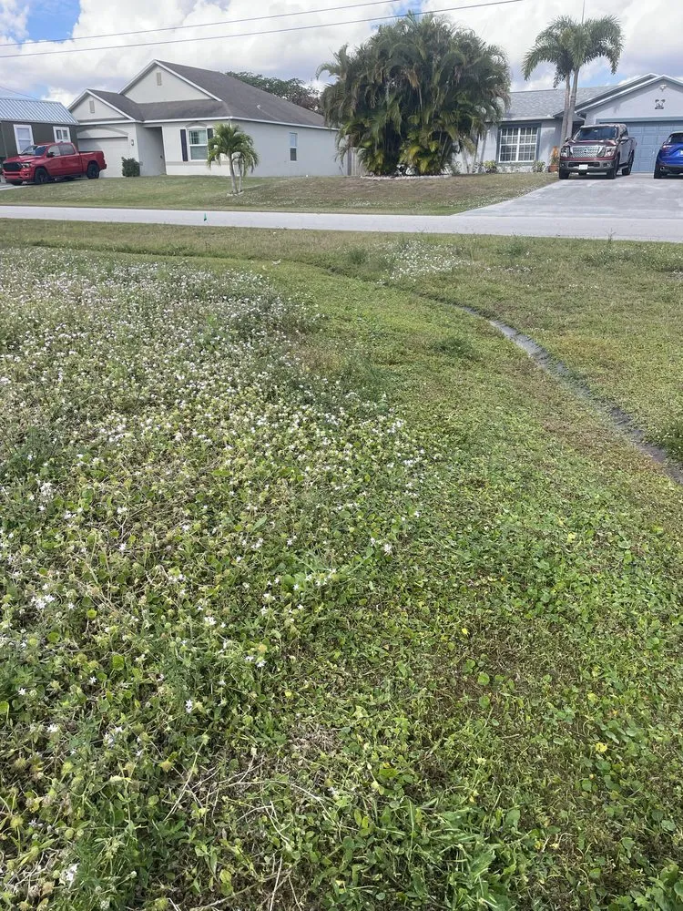 Top-rated landscape design for beautiful yards across Okeechobee, FL - Wilder’s Lawn service