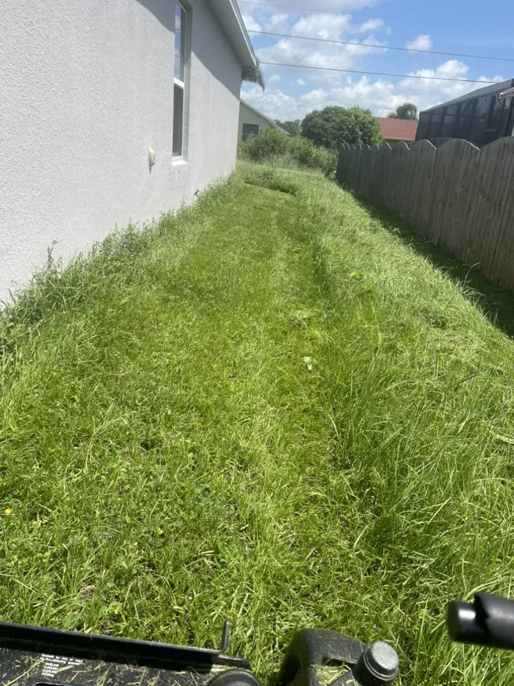 Trusted yard maintenance in Okeechobee, FL by Wilder’s Lawn service