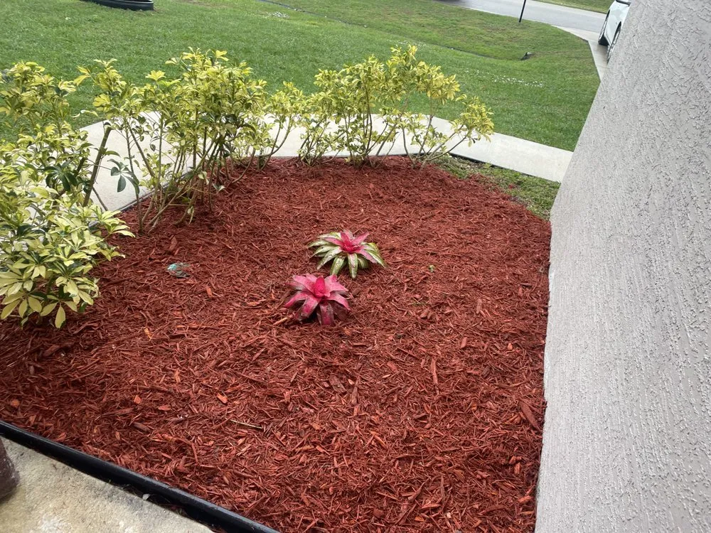 Affordable yard maintenance experts serving Okeechobee, FL - Wilder’s Lawn service