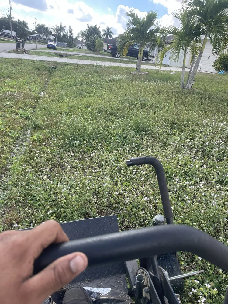 Custom lawn mowing service for year-round maintenance across Okeechobee, FL - Wilder’s Lawn service