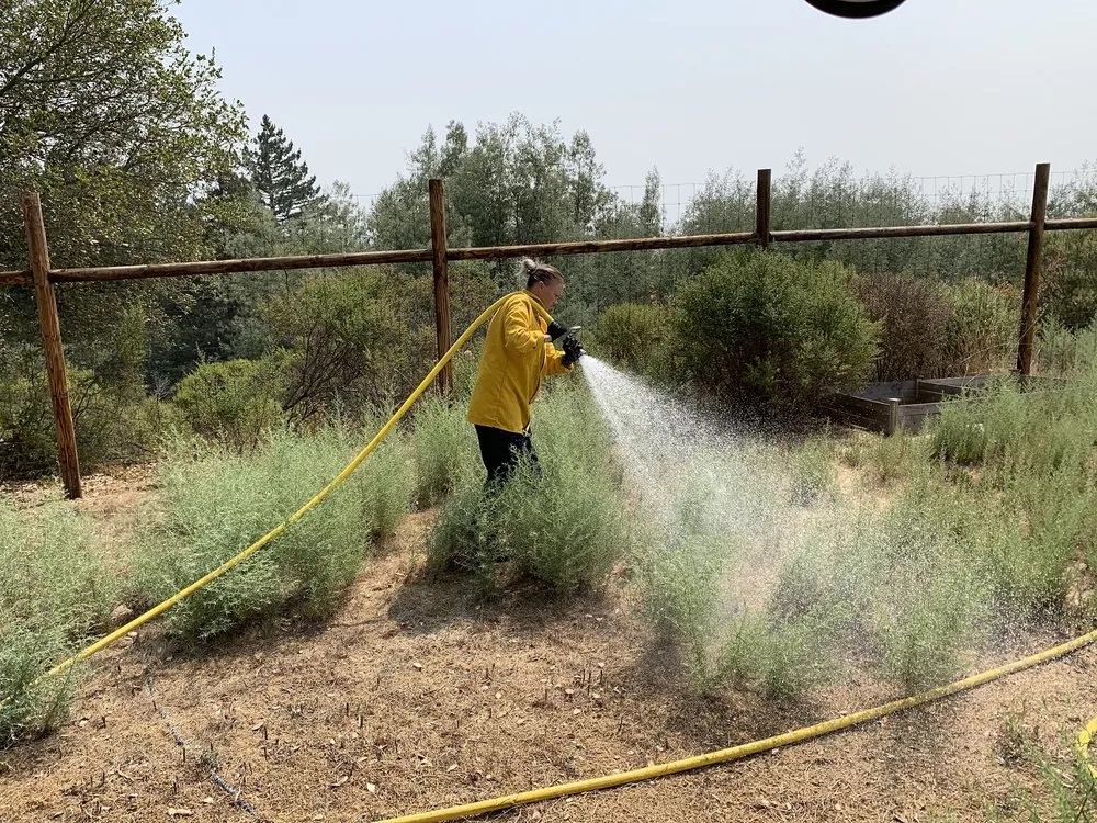 Reliable landscape design experts serving Wimberley, TX - Wildfire Prevention Co.