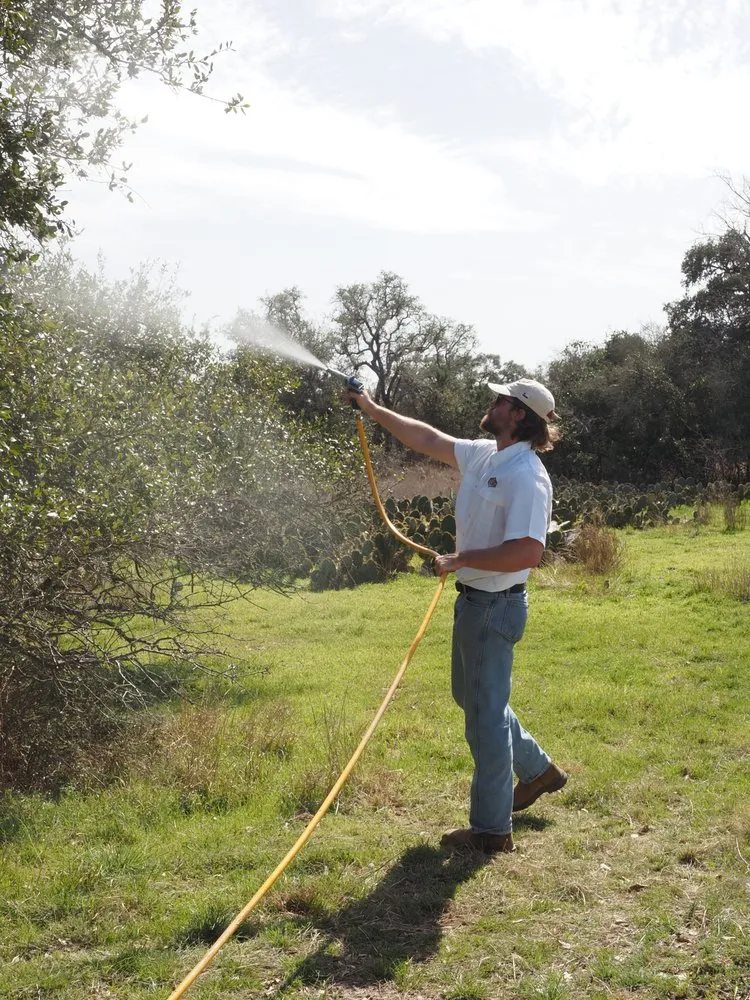 Custom residential landscaping in Wimberley, TX by Wildfire Prevention Co.