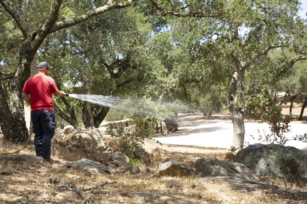 Custom landscape design in Wimberley, TX - Wildfire Prevention Co.