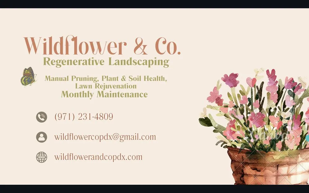 Custom lawn care service for beautiful yards across Portland, OR - Wildflower & Co. PDX