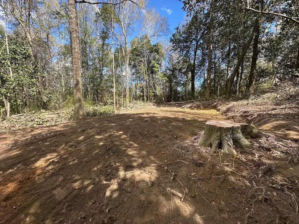 Reliable landscape design experts serving Gonzalez, FL - Wildflower Innovations