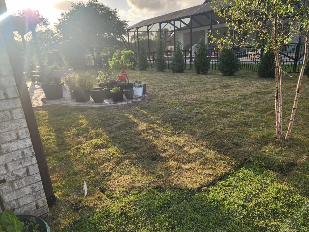 Expert lawn care service in Gonzalez, FL by Wildflower Innovations