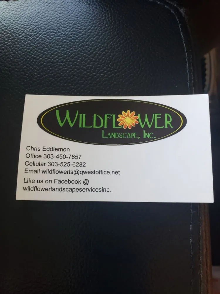 Expert lawn mowing service for year-round maintenance across Thornton, CO - Wildflower Landscape Services