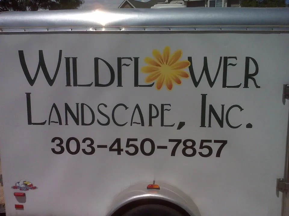 Trusted yard cleanup service in Thornton, CO - Wildflower Landscape Services