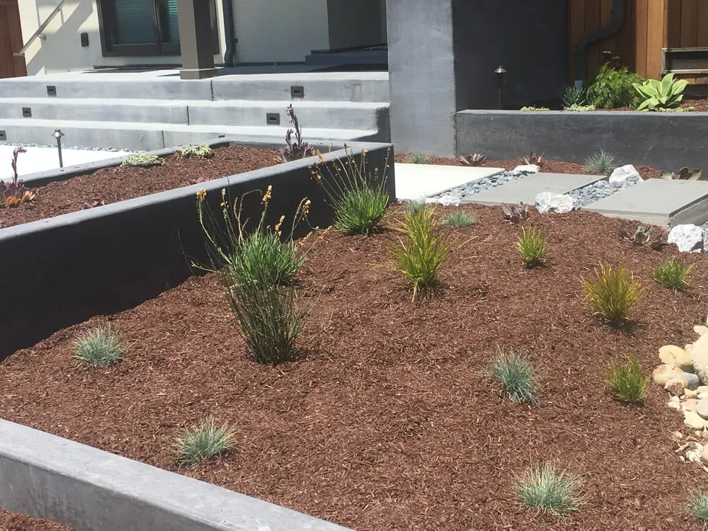 Expert lawn mowing service in Santa Cruz, CA by Wildflower Landscpae Design