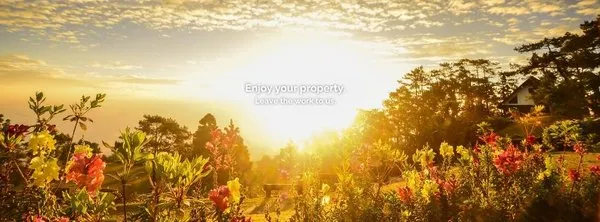 Wildflower Property Services