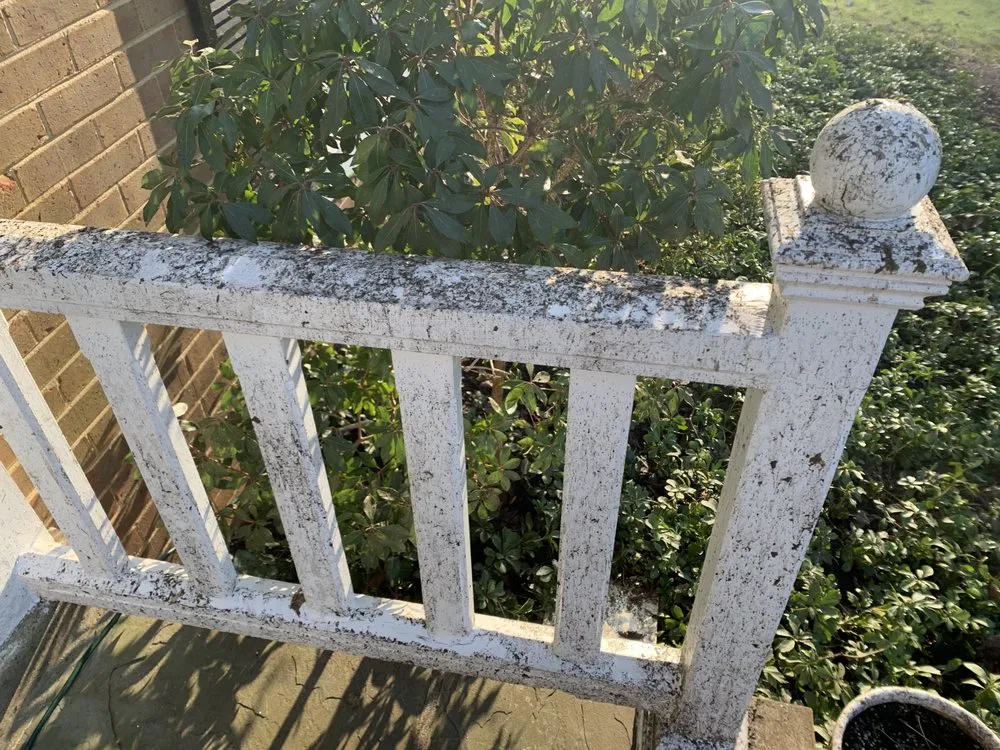 Affordable lawn mowing service for residential properties across Rockville, MD - Wildgreen Landscaping