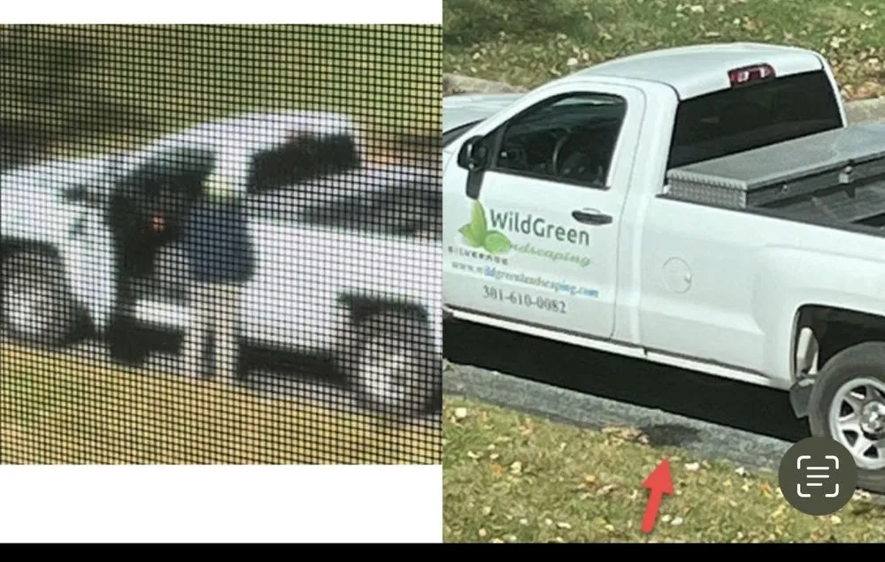 Top-rated outdoor landscaping for beautiful yards across Rockville, MD - Wildgreen Landscaping