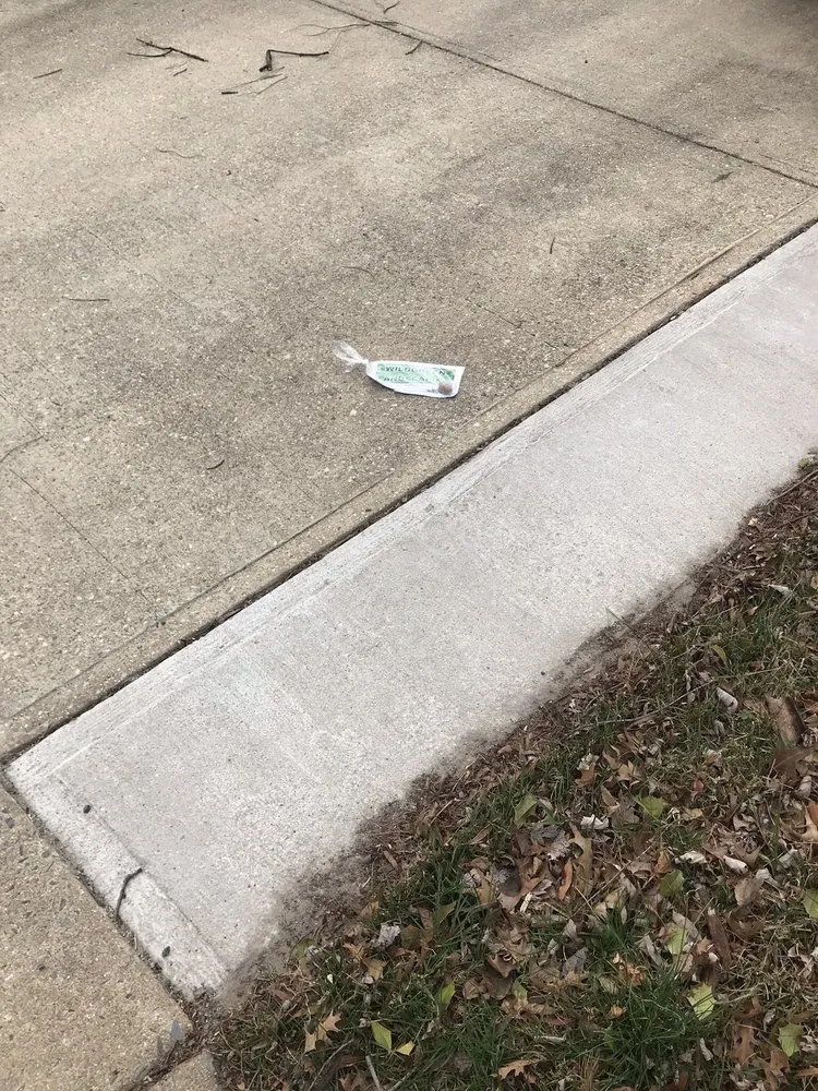 Top-rated landscape design for residential properties across Rockville, MD - Wildgreen Landscaping