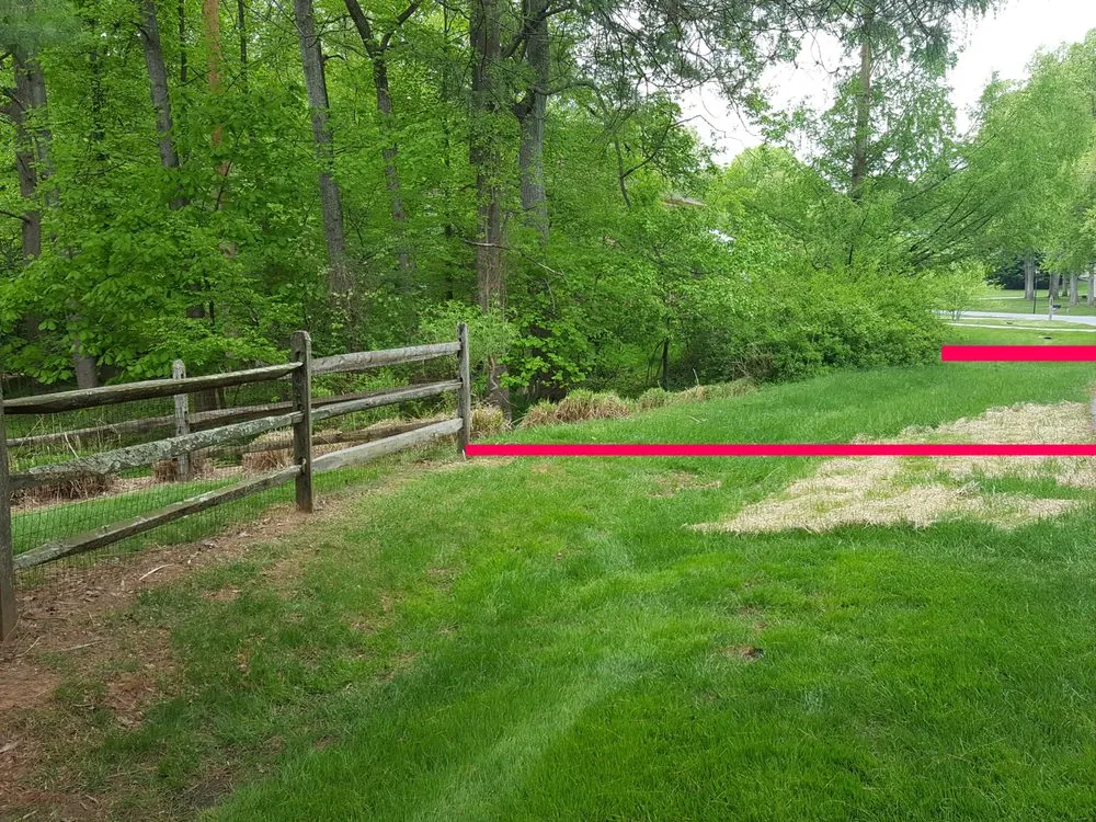 Trusted landscape installation in Rockville, MD - Wildgreen Landscaping