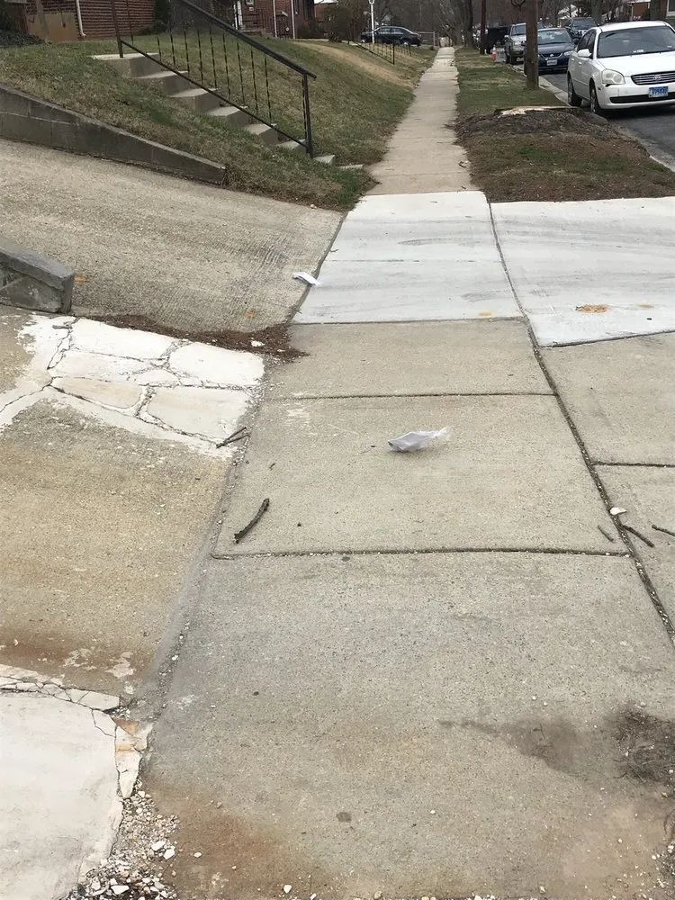 Local residential landscaping for beautiful yards across Rockville, MD - Wildgreen Landscaping