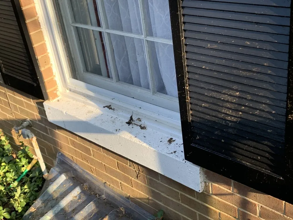 Custom residential landscaping in Rockville, MD by Wildgreen Landscaping