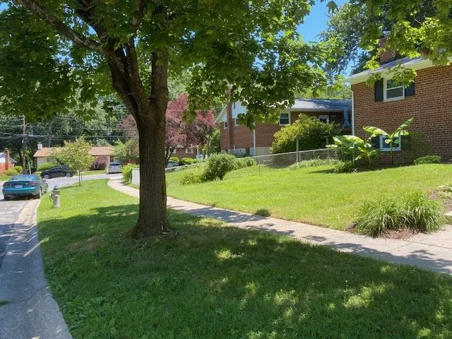 Trusted yard cleanup service in Rockville, MD - Wildgreen Landscaping