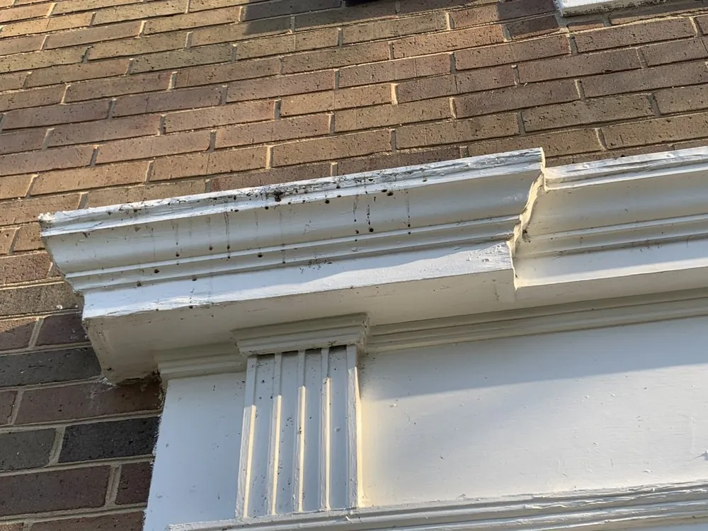 Reliable garden landscaping in Rockville, MD - Wildgreen Landscaping