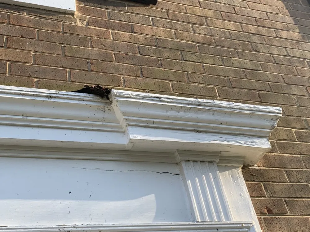 Expert lawn mowing service for homes across Rockville, MD - Wildgreen Landscaping