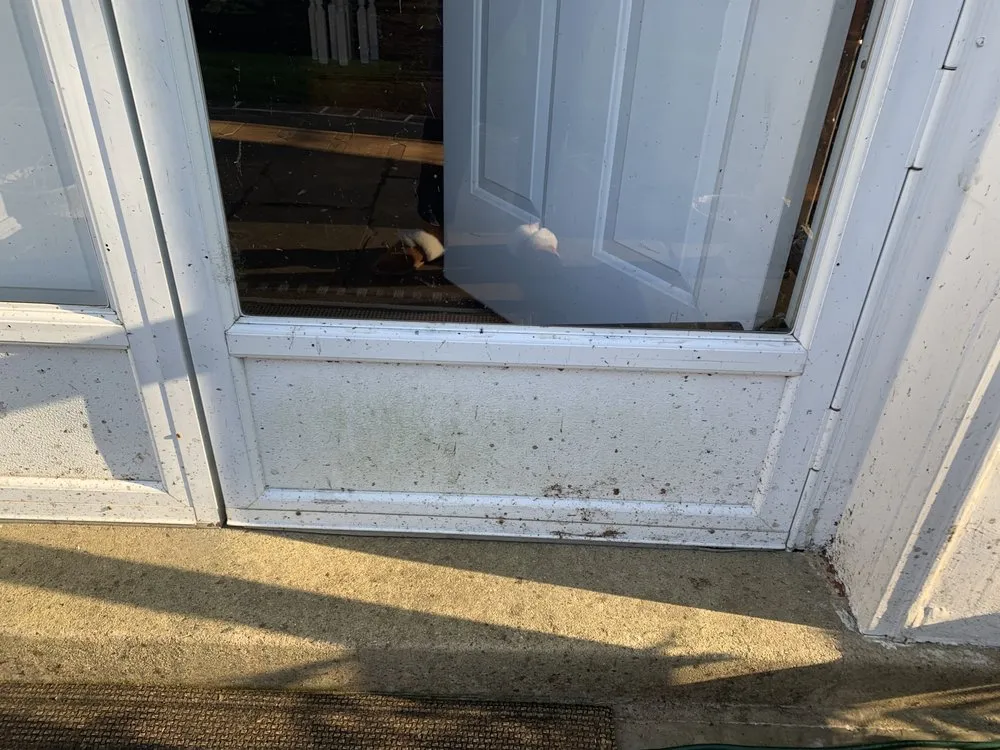 Affordable lawn care service near you across Rockville, MD - Wildgreen Landscaping