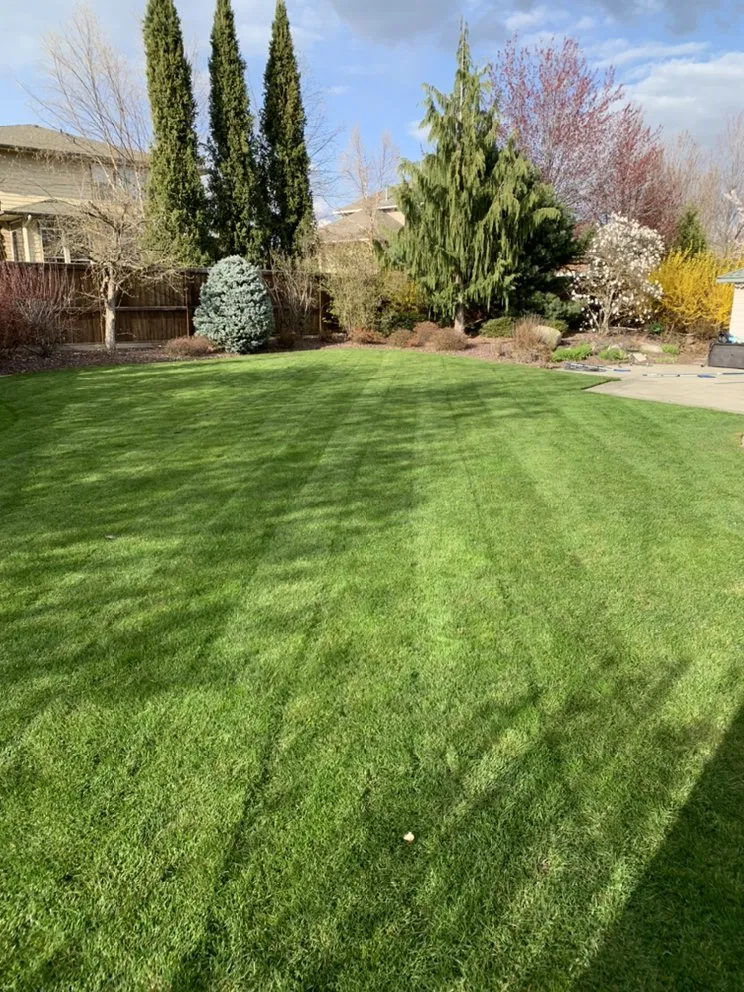 Professional lawn mowing service for year-round maintenance in Spokane, WA by WildGreen