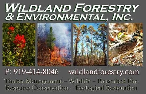 Trusted lawn mowing service in Liberty, NC by Wildland Forestry & Environmental