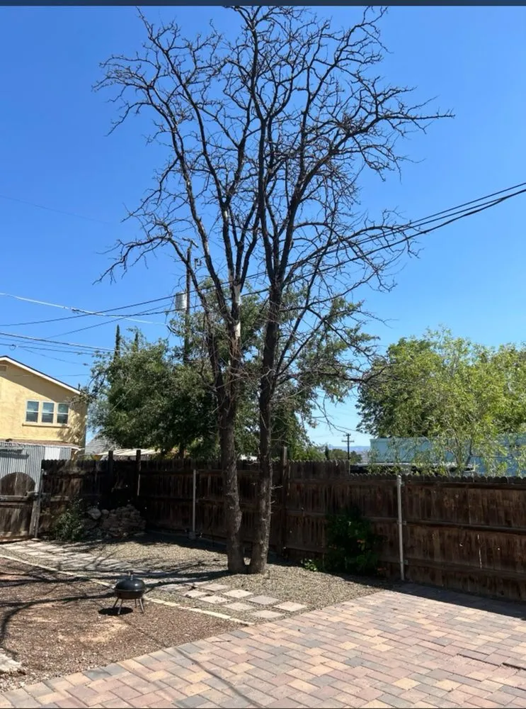 Trusted landscape installation in Cottonwood, AZ by Wildland Landscaping & Tree Removal