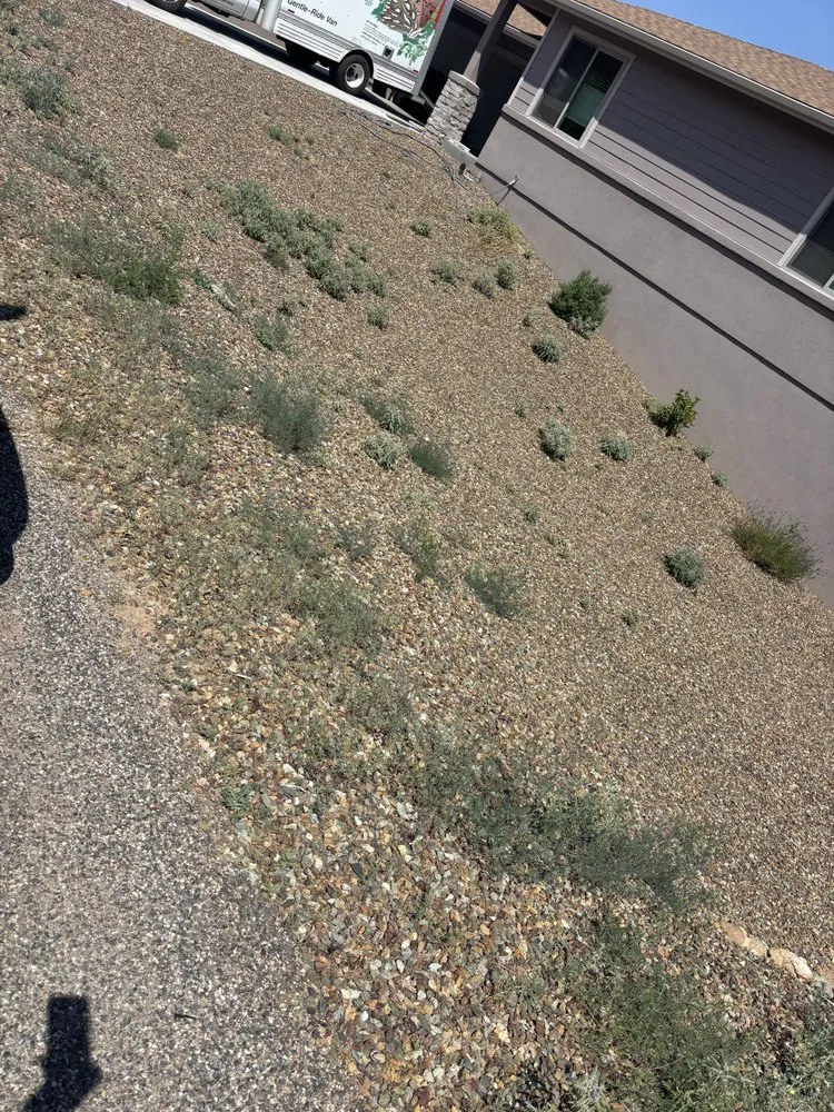 Trusted landscape installation for homes in Cottonwood, AZ by Wildland Landscaping & Tree Removal