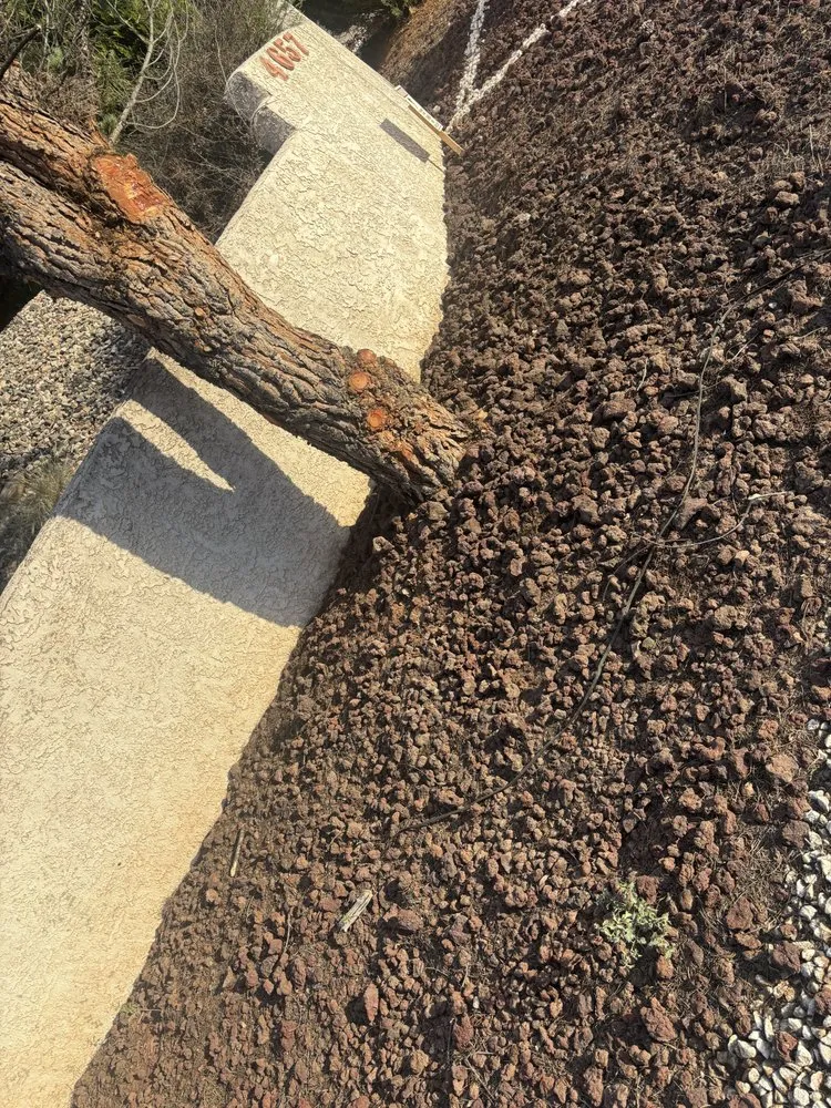 Professional landscaping services experts serving Cottonwood, AZ - Wildland Landscaping & Tree Removal