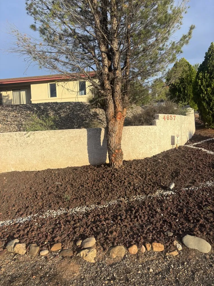 Custom landscaping services experts serving Cottonwood, AZ - Wildland Landscaping & Tree Removal