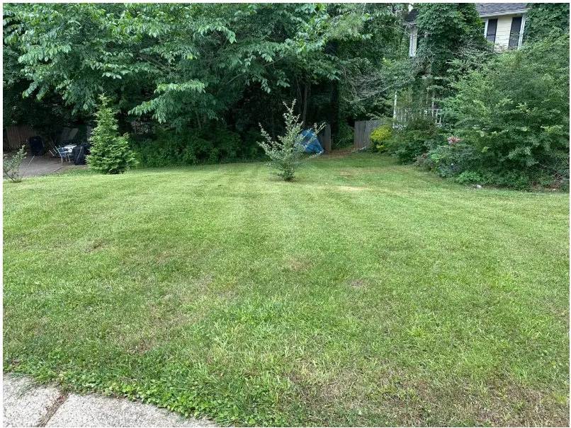 Affordable residential landscaping in Porterdale, GA - WildLawn Lawncare