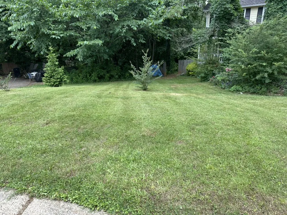 Expert lawn mowing service in Porterdale, GA by WildLawn Lawncare