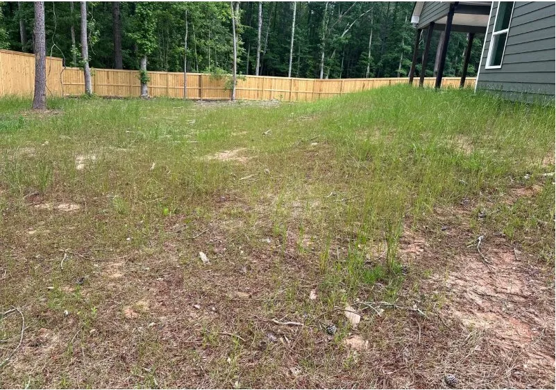 Expert landscape design in Porterdale, GA by WildLawn Lawncare