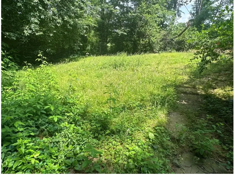 Reliable landscape installation experts serving Porterdale, GA - WildLawn Lawncare