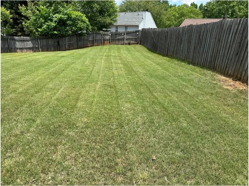 Top-rated outdoor landscaping experts serving Porterdale, GA - WildLawn Lawncare