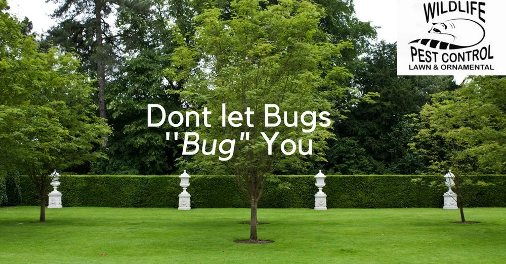 Top-rated yard maintenance in Miami, FL - Wildlife Pest Control